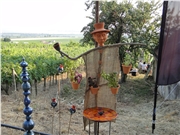 dsc00896