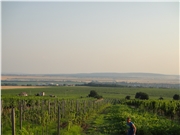 dsc00903