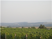 dsc00917