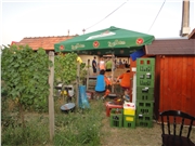 dsc00925