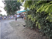 dsc00940