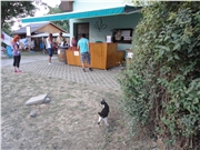 dsc00941