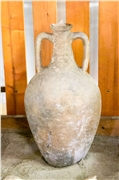 cmsauvignon51