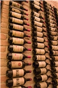 coburg_05