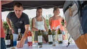 vino_a_levandula_60