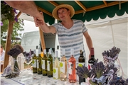vino_a_levandula_62