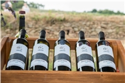 vino_a_levandula_64