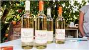 Furmint na všetky spôsoby