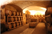 duca_carlo_guarini_scorrano_cellar