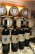 feudi_di_guagnano