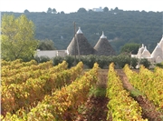 trullo_vigna_panor