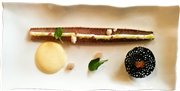 savoie_holub