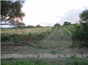 dsc00993