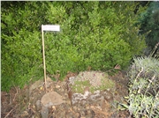 dsc01003