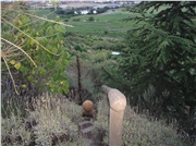 dsc01005
