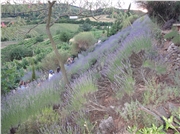 dsc01014
