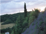 dsc01017