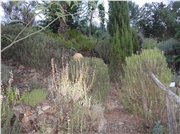dsc01020