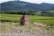 San Felice vinice