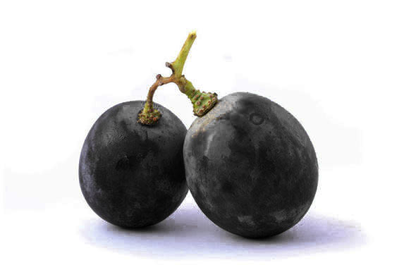 Obrázok