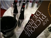 ochutnávka Picpoul de Pinet