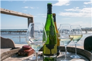 picpoul_de_pinet_02