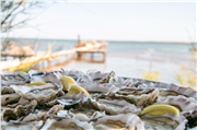 picpoul_de_pinet_03