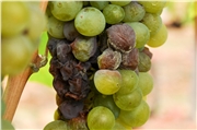 dsc_0027