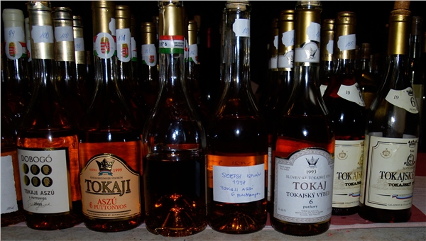 tokaj_vinicky_01