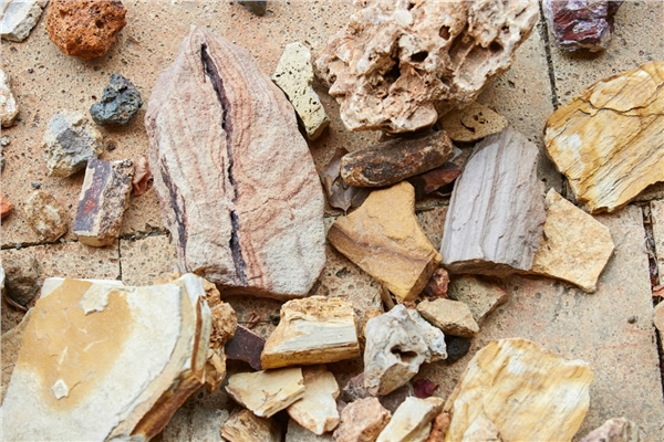 furmintday2018_03_byfurmintphoto