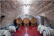 dious13