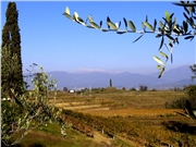 tocai09