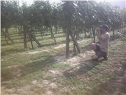 img0001e