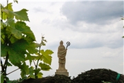 Sv. Urban sa z viníc pozerá na Pezinok