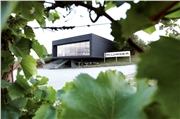 hillinger_winery_02