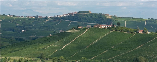 2019_03_14_bricco_ambrogio_1024x410
