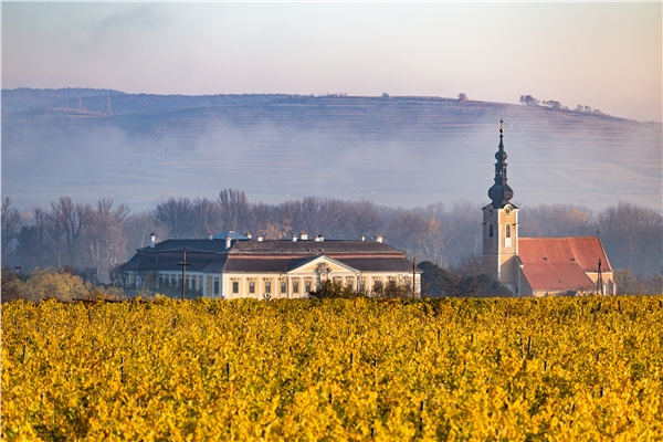 schloss_2020_4591c_moosbrugger_scaled