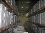 2009 sklad 005