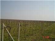 DSC00858