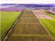 hony_dubnik_bundas_zamocke_vinarstvo_03