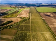 hony_dubnik_bundas_zamocke_vinarstvo_05