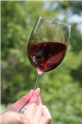 vino-pohar