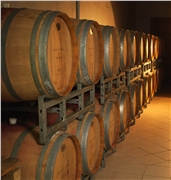 vino_2727