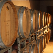 vino_2742