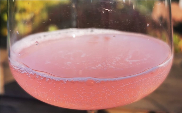 burcak_rose_pinot_noir_21_dubovsky&grancic
