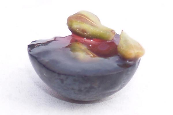 semeno