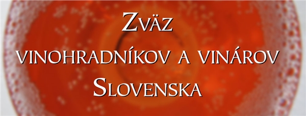 zvvs_01