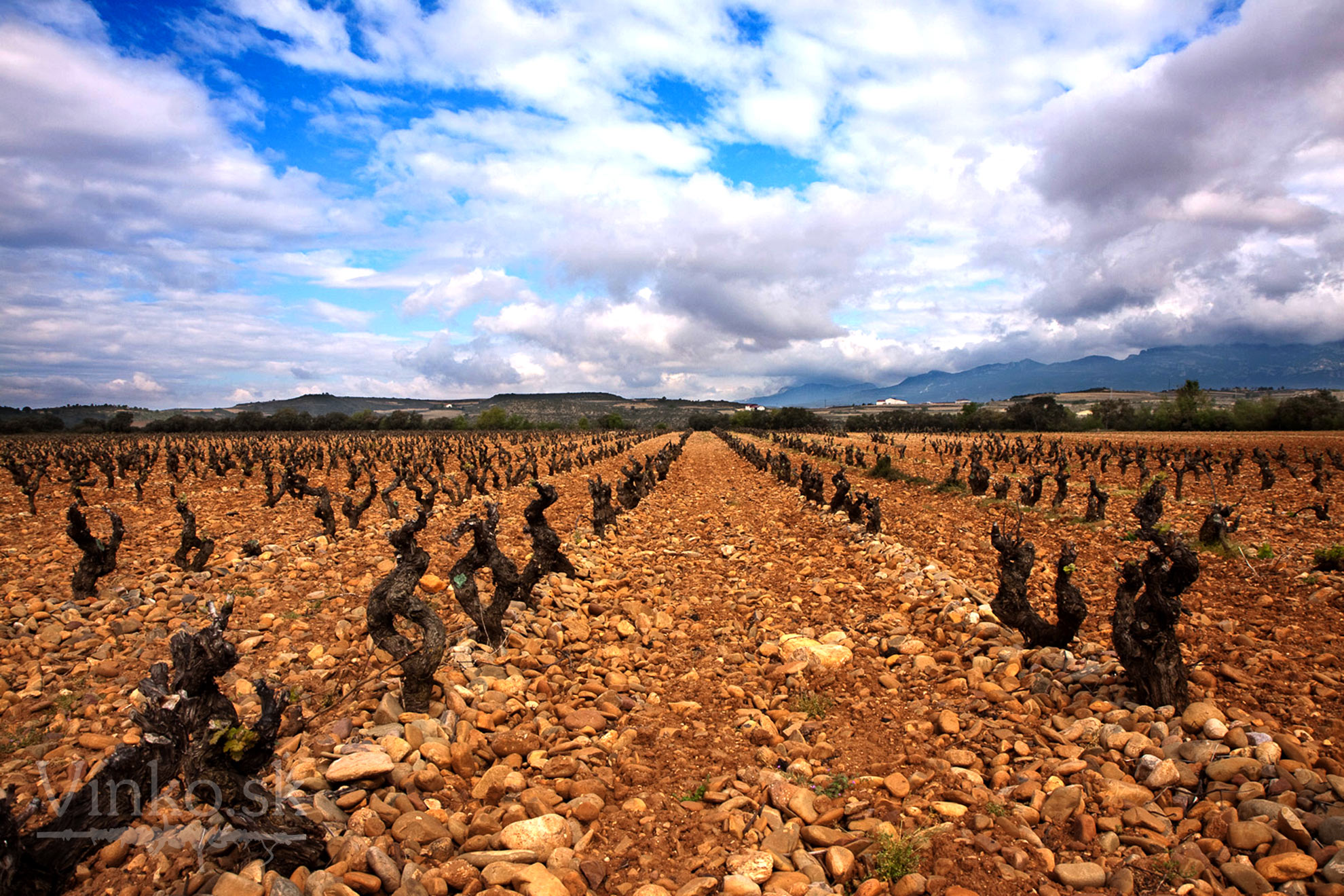 rioja_02