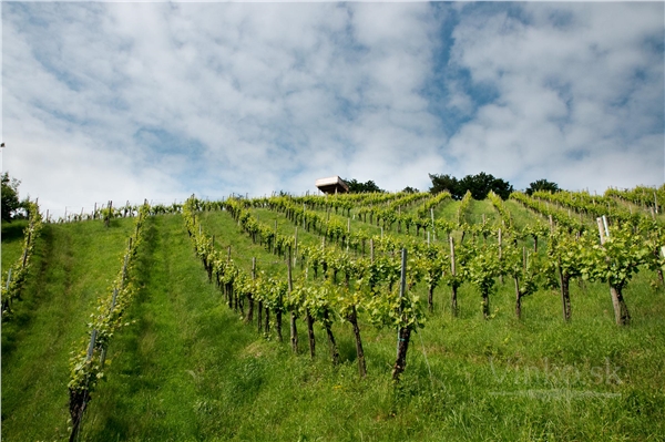steiermark_05